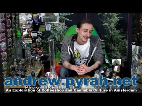 Bongs,Thoughts and Updates - Amsterdam Weed Review 2014