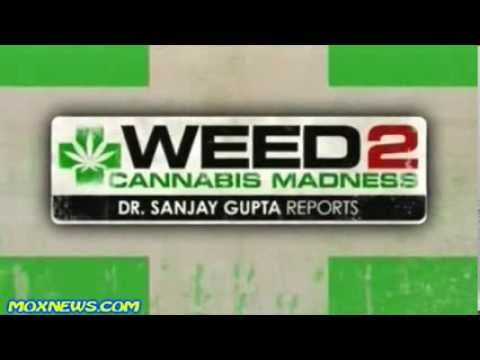 CNN - WEED 2 - Cannabis Madness - A Dr Sanjay Gupta Documentary
