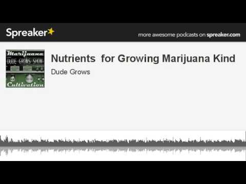 Nutrients for Growing Marijuana