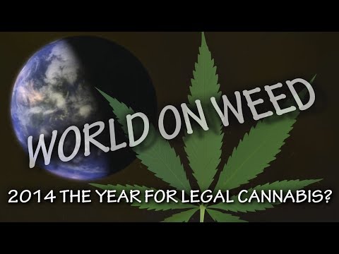 Is 2014 the year for Cannabis Legalization? Legal Marijuana? WORLD ON WEED Cannabis News