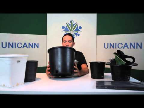 Cannabis University - Containers - Pots
