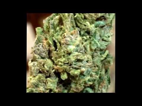 Some bad ass Durban Poison, that Medicinal Marijuana! High Grade FedEx shipment;)
