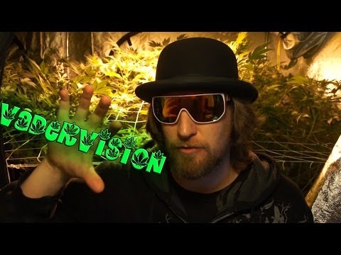 VaderVision - AMA II
