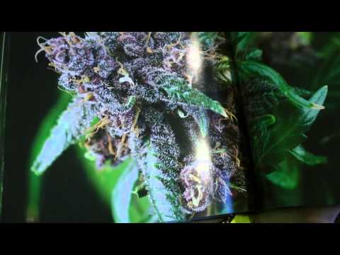 Spannabis 2014 The Kitchen - Cannabis Book