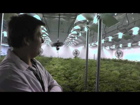 Tweed Federally Licenced Cannabis Producer