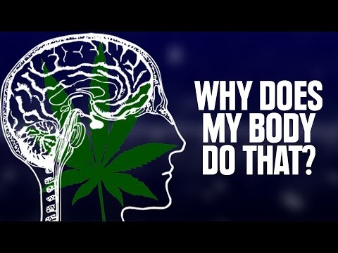 Why Does My Body Do That On Weed?