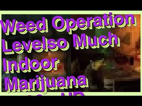 Hitman Absolution - Weed operation level - so much indoor marijuana [1080p HD]