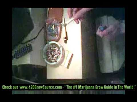 How To Roll a Joint - Step By Step marijuana weed cannabis 420 tutorial AWESOME!!!