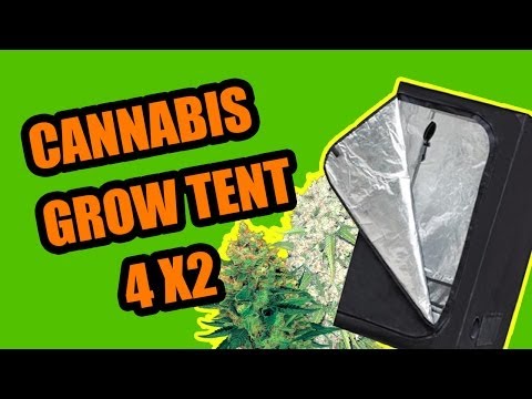 Growing Marijuana Indoors Using Cannabis Grow Tent