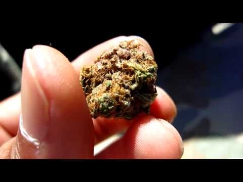 Medical Marijuana Grow OG kush purple