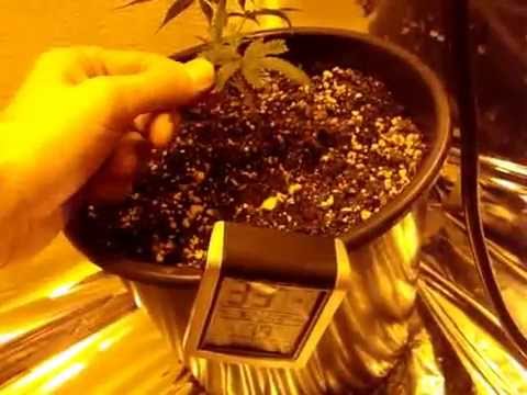 How To Create Better Lower Lighting for Marijuana Plant Growth