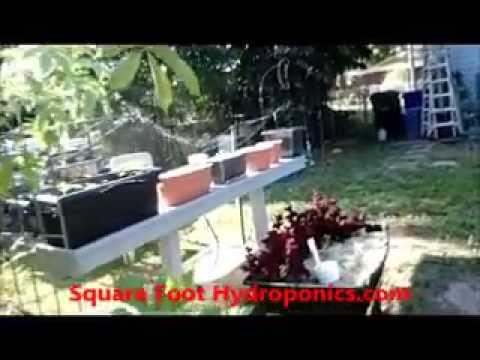 square foot hydroponics 5 gallon ebb & flow system