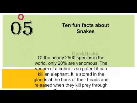 Ten facts about Snakes - All about