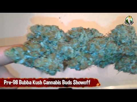 Pre 98 Bubba Kush Cannabis Buds Showoff