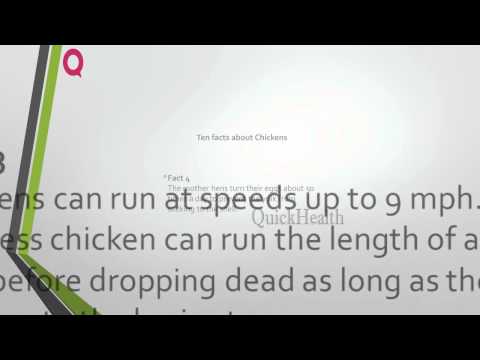 Ten facts about Chickens - All about - utubetip law