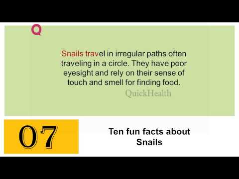 Ten facts about Snails - All about law