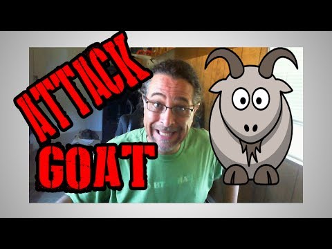 Ranch updates and A Goat