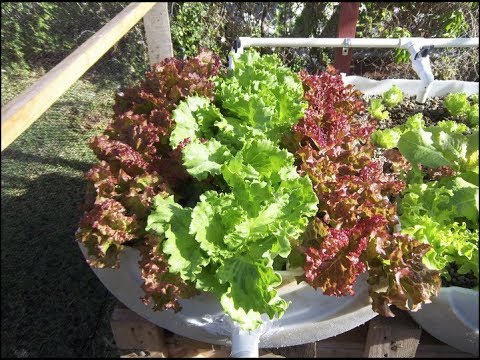 Home Aquaponics, Aquaponics 4 You, Aquaponics For Profit, Aquaponic Gardens, Aquaponics Usa