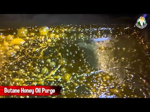 Butane Honey Oil Purge