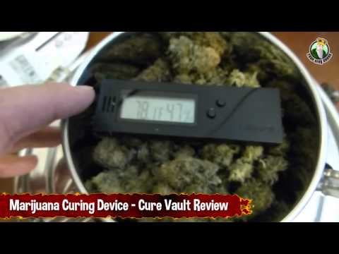 Marijuana Curing Device   Cure Vault Review