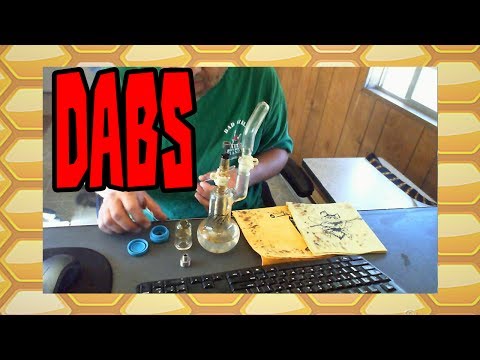 Dabs and Lazy Cat