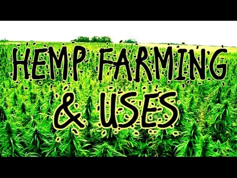 GROWING CANNABIS / Hemp for Victory (1942) / US Government Film (B/W)