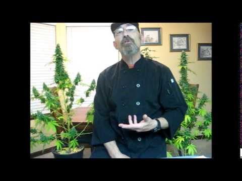 cooking with cannabis tralier