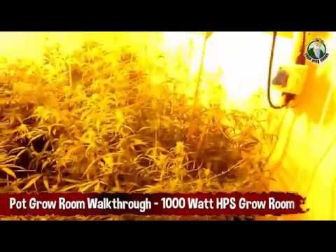 Pot Grow Room Walkthrough - 1000 Watt HPS Grow Room
