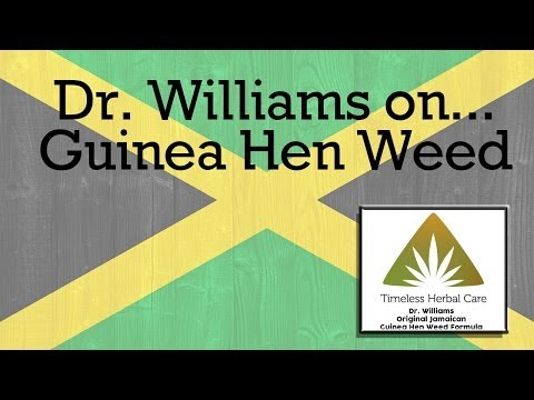 Timeless Herbal Care Dr Williams Guinea Hen Weed