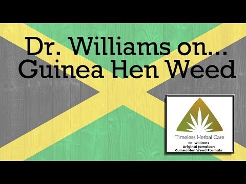 Timeless Herbal Care Dr. Williams on Guinea Hen Weed v2