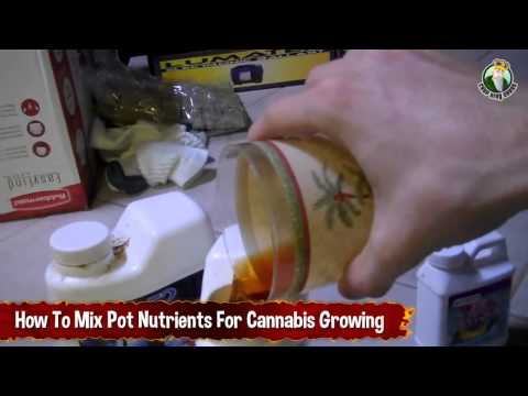How To Mix Pot Nutrients For Cannabis Growing - Growing Marijuana