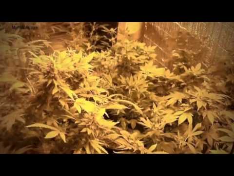 Unboxing Cool Tube HPS Grow Light - Building a Grow Room in a Closet [JULY 2014]