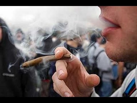 Marijuana News - Marijuana Legalization
