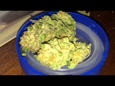 Flo Cannabis Review 2014 Colorado