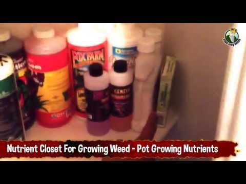 Nutrient Closet For Growing Weed - Pot Growing Nutrients