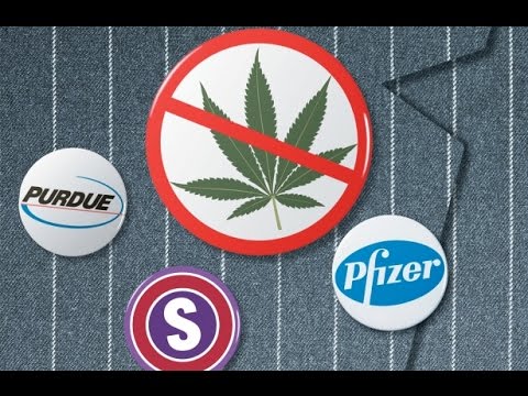 The Real Reason Marijuana Is Still Illegal - Lee Fang Discusses