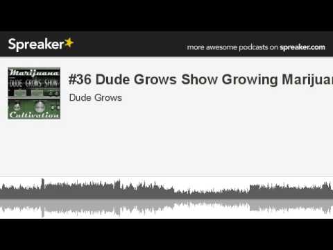 #36 Dude Grows Show Growing Marijuana (made with Spreaker)