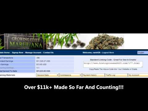 Best Marijuana Affiliate Program - Made Over $11k And Counting