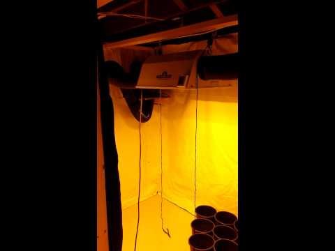 Grow room almost done!
