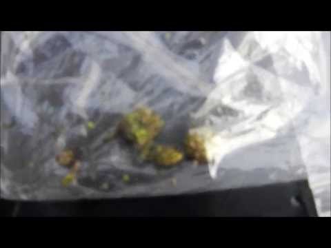 How to make fake bud / weed