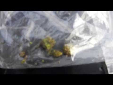 How to make fake bud / weed (The Right Way)