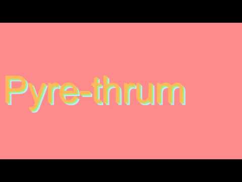 How to Pronounce Pyre-thrum