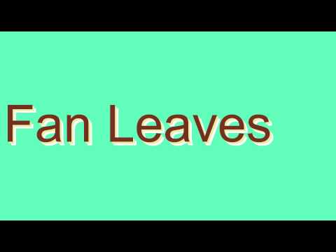 How to Pronounce Fan Leaves