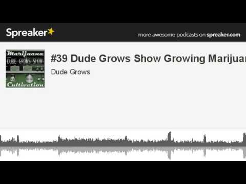 #39 Dude Grows Show Growing Marijuana (made with Spreaker)