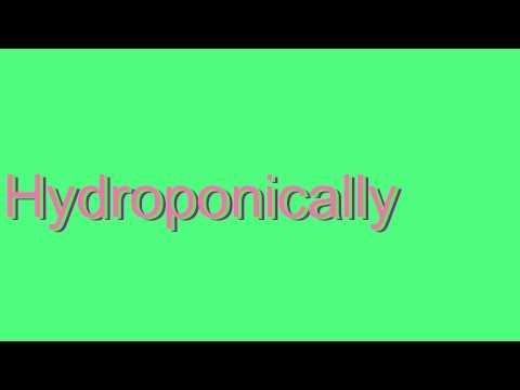 How to Pronounce Hydroponically