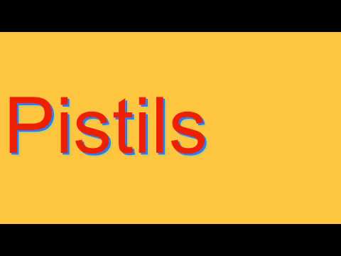 How to Pronounce Pistils