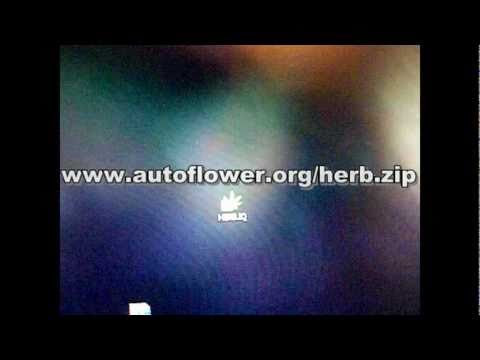 Free Weed growing software and rrf update
