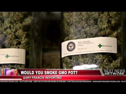 Would You Smoke GMO Pot?