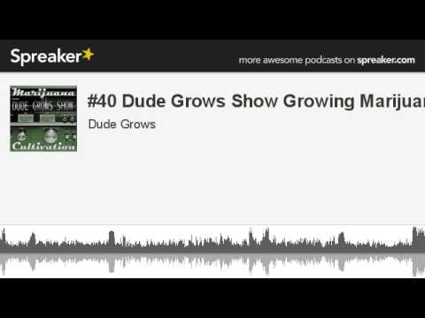 #40 Dude Grows Show Growing Marijuana