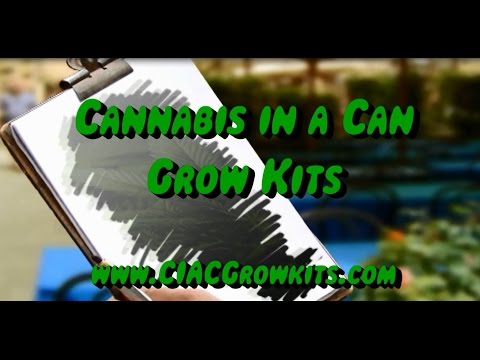 Cannabis in a Can - Grow Kits (100% Ready to Grow) 25 Seed Strains